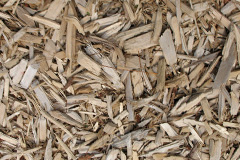 biomass boilers Foxearth